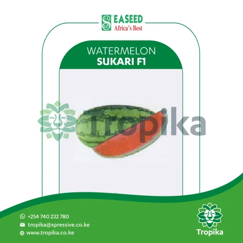 Sukari F1