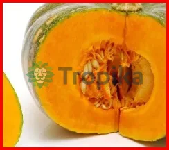 Hybrid Onion Pumpkin  F1 100 seeds