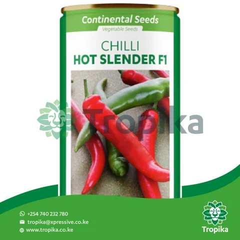 Hot Slender F1