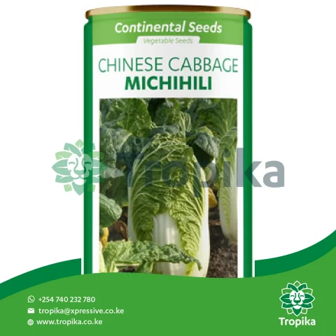 Cabbage Chinese Michihili