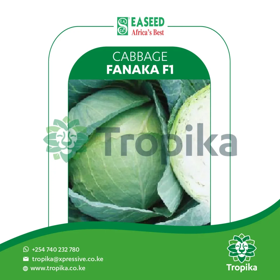 Fanaka F1