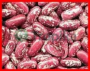 Beans Rose Coco [glp 2]