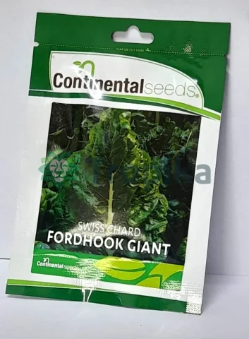 Spinach Fordhook Giant