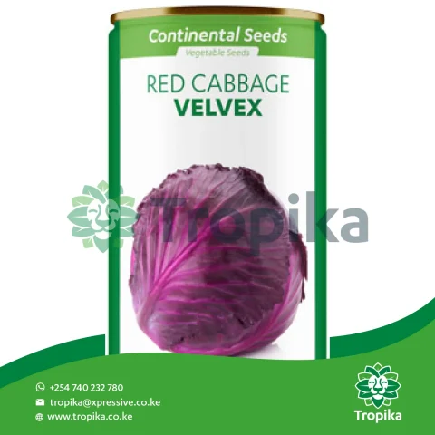 Cabbage Red Velvex