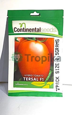 Tersal F1
