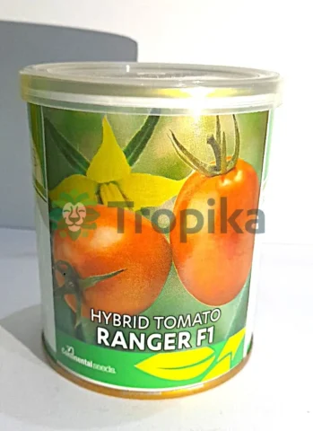 Ranger F1