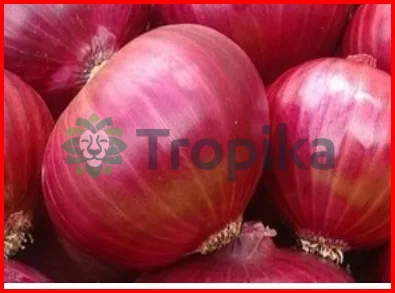 Red tropicana