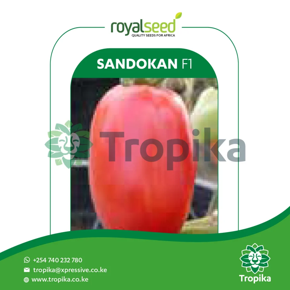 Sandokan F1