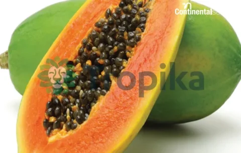 Papaya Royale