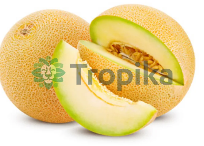 Hybrid Sweet Melon  Divine F1 1,000 seeds