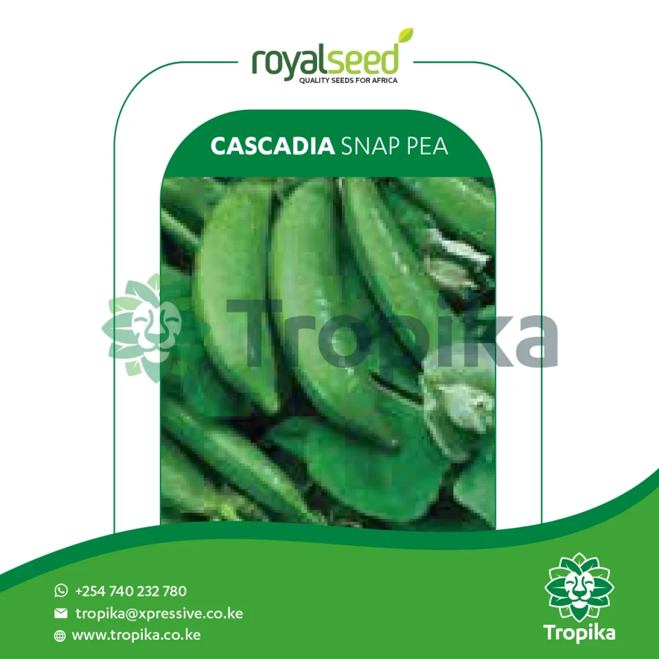Cascadia snap pea