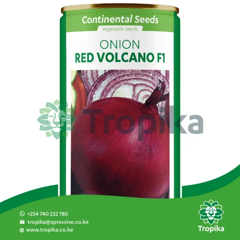 Hybrid Onion Red Volcano F1
