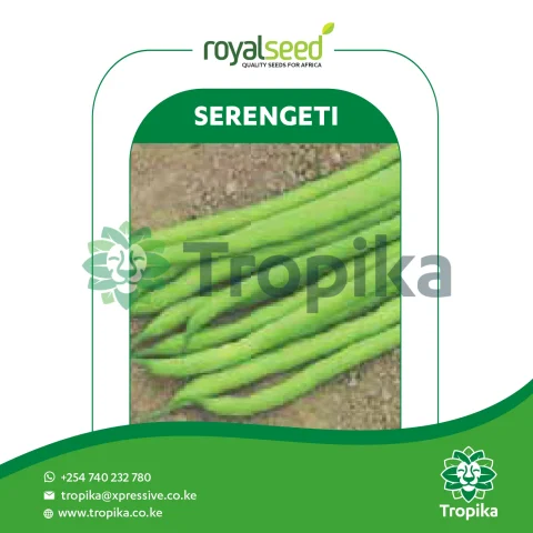 Serengeti
