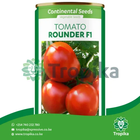 Rounder F1