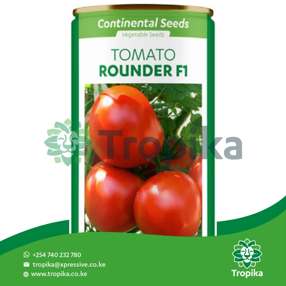 Rounder F1