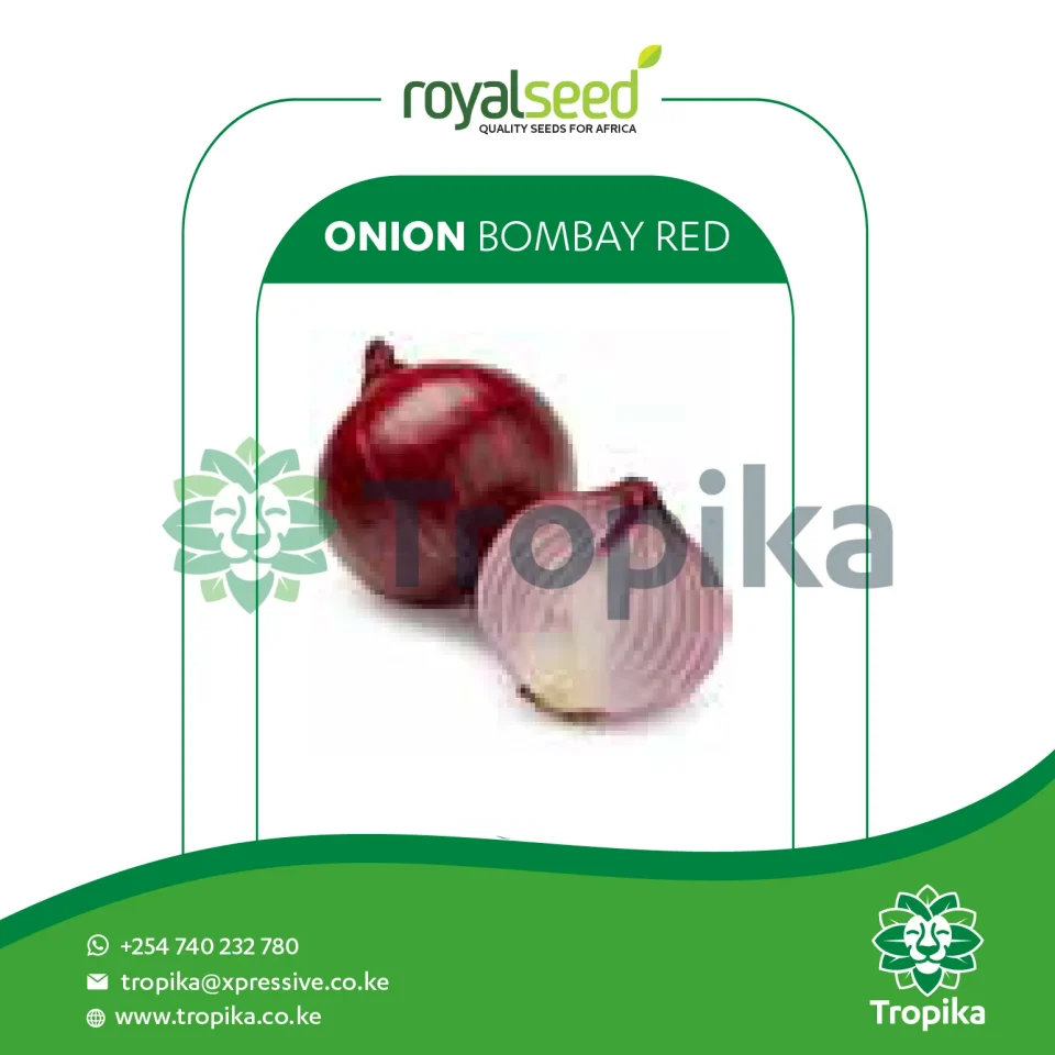 Red Onion Bombay