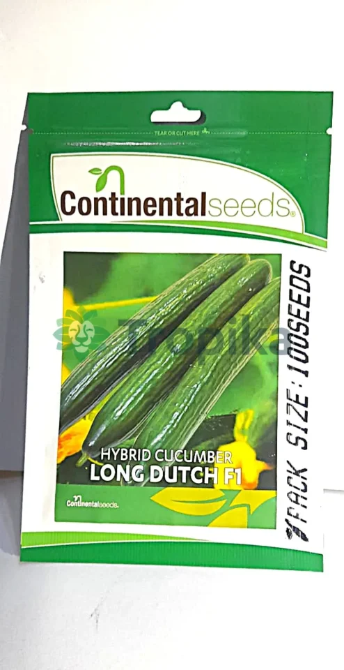Long Dutch F1