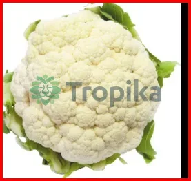 Hybrid Cauliflower Amazing F1 (10,000 Seeds)