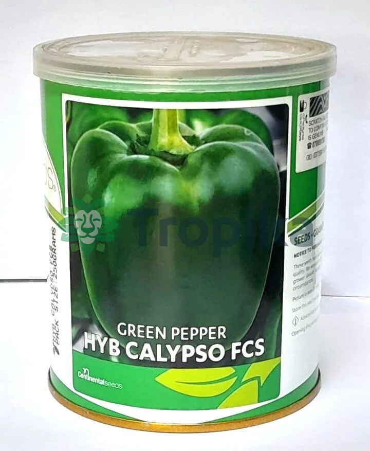 HYB Calypso FCS