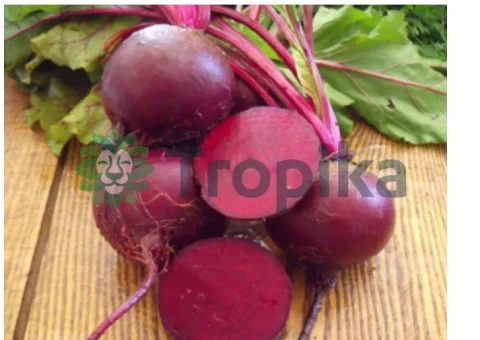 Beetroot Detroit