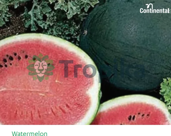 Sugar Baby Watermelon