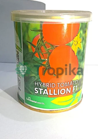 Stallion F1