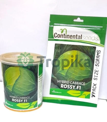 Rossy F1
