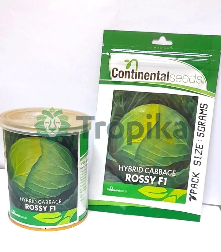 Rossy F1