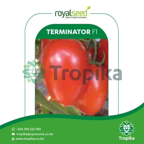 Terminator