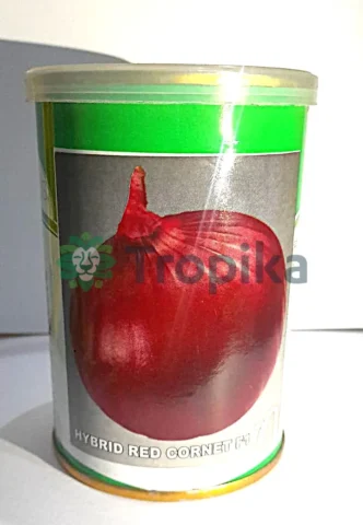 Red Cornet F1