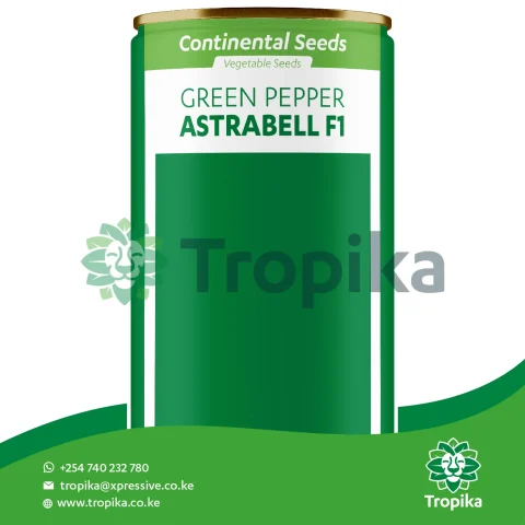 Hybrid Green Pepper Astrabell F1