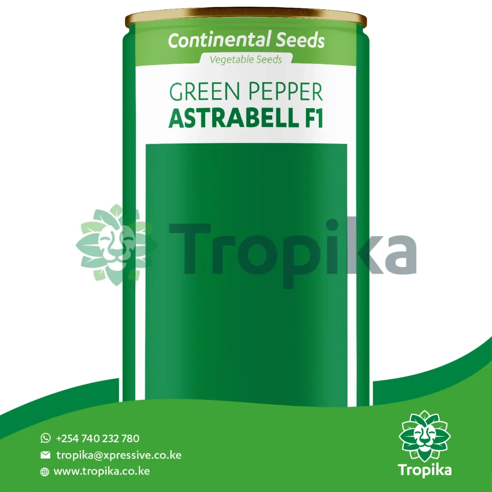 Hybrid Green Pepper Astrabell F1