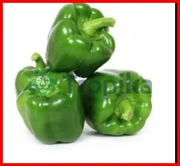 Hybrid Capsicum-Sweet Citrin F1 100 Seeds