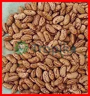 Beans Miezi Mbili