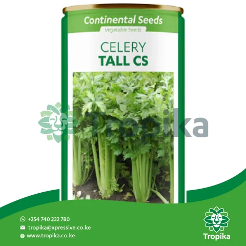Tall CS
