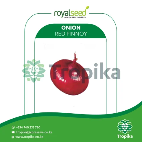Red pinnoy