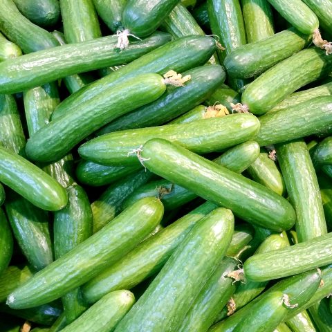 Cucumber Seeds