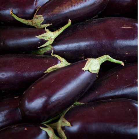 Eggplant Seeds