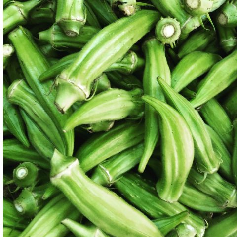Okra Seeds