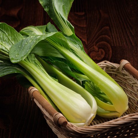 Pak Choi Seeds