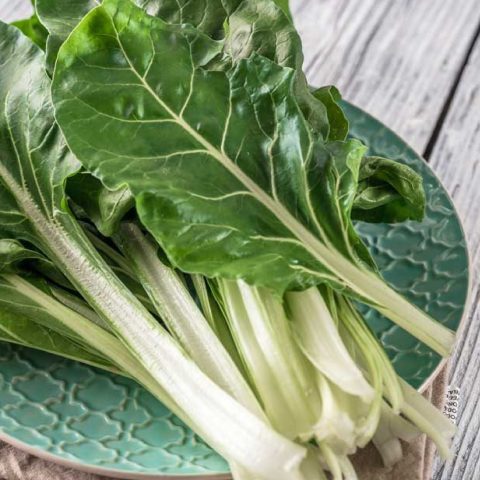 Spinach Seeds