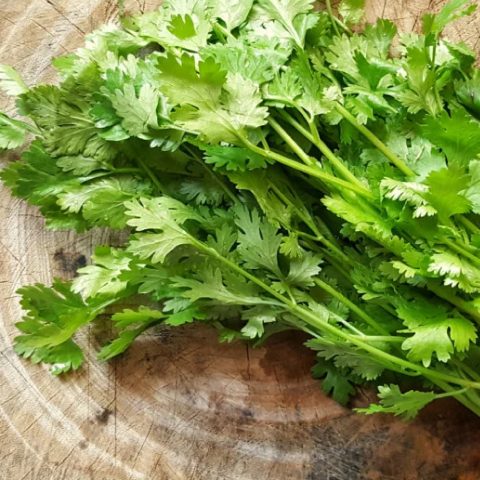 Coriander Seeds